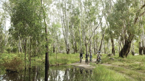 Murray Valley National Park - Accommodation NT 3