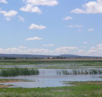 Fivebough Wetlands - Accommodation NT