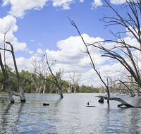 Murrumbidgee Valley National Park - Accommodation NT