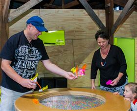 Twisted - Science At Play - Accommodation NT 2