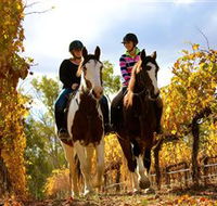 Billabong Ranch - Accommodation NT