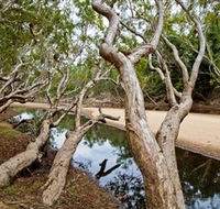 Oyala Thumotang National Park CYPAL - Accommodation NT