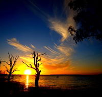 Lake Cowal - Accommodation NT