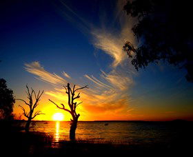 Lake Cowal - Accommodation NT 0