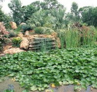 Mackenzie Park - Accommodation NT