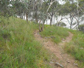 Bundidgerry Walking Track - Accommodation NT 1