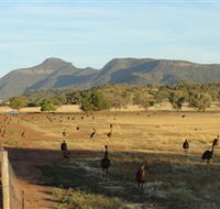 Emu Logic - Accommodation NT