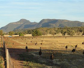 Emu Logic - Accommodation NT 0