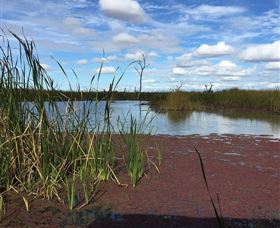 Gwydir Wetlands - Accommodation NT 0