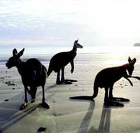 Hibiscus Coast - Accommodation NT