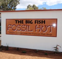 Big Fish Fossil Hut at Peak Hill - Accommodation NT