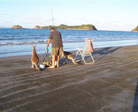 Cape Hillsborough National Park - Accommodation NT 0