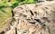 Terramungamine Rock Grooves - thumb 0