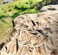 Terramungamine Rock Grooves - Accommodation NT