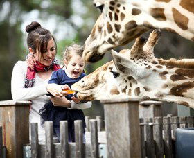 Taronga Western Plains Zoo, Dubbo - Accommodation NT 0