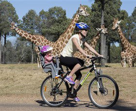 Taronga Western Plains Zoo, Dubbo - Accommodation NT 2
