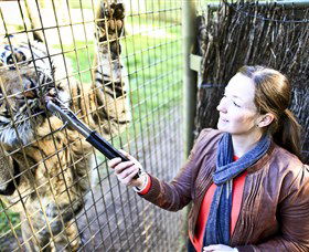 Taronga Western Plains Zoo, Dubbo - Accommodation NT 3