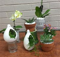 Cobram Florist - Accommodation NT