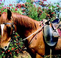 Western Plains Riding Centre - Accommodation NT