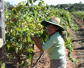 Domaine Asmara - Accommodation NT 6