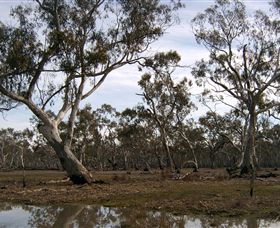 Murchison Rail Trail - Accommodation NT 1