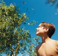 Bushwalking on Keswick Island - Accommodation NT