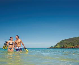 Snorkelling On Keswick Island - Accommodation NT 0