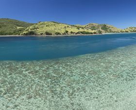Snorkelling On Keswick Island - Accommodation NT 1