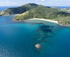 Snorkelling On Keswick Island - Accommodation NT 2