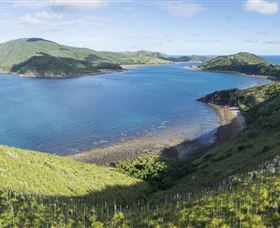 The Cremer Shipwreck Dive Site - Keswick Island - Accommodation NT 0