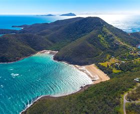 Whale Watching On Keswick Island - Accommodation NT 1