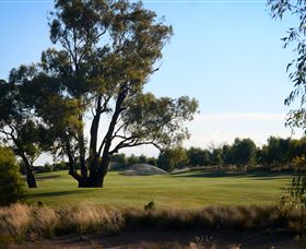 Black Bull Golf Club - Accommodation NT 2
