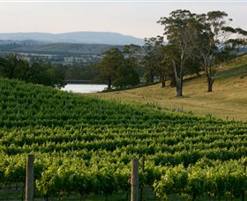Granite Hills Winery - Accommodation NT 0