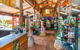 Springhill Nursery - thumb 1