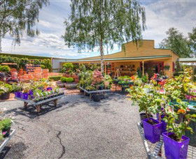 Springhill Nursery - Accommodation NT 2