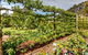 Springhill Nursery - thumb 5