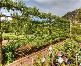 Springhill Nursery - Accommodation NT 5