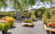 Springhill Nursery - thumb 4