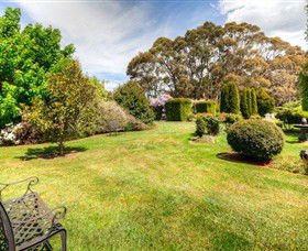 Springhill Nursery - Accommodation NT 8