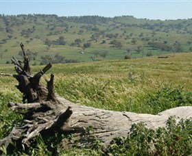 Self Drive Geology And Nature Trails - Accommodation NT 3