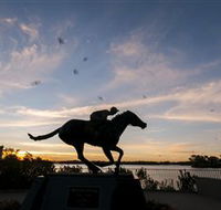 Black Caviar Statue - Accommodation NT