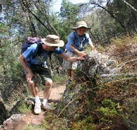 Mount Arthur Reserve - Accommodation NT
