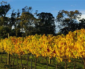 Paramoor Winery - Accommodation NT 3
