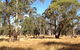 Paramoor Winery - thumb 4
