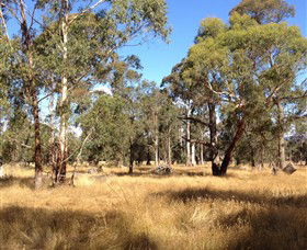 Paramoor Winery - Accommodation NT 4