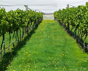 Paramoor Winery - Accommodation NT 6