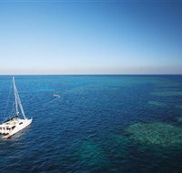 Bait Reef and Garys Lagoon Dive Site - Accommodation NT
