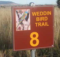 Weddin Bird Trails - Accommodation NT