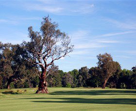 Corowa Golf Club - Accommodation NT 5