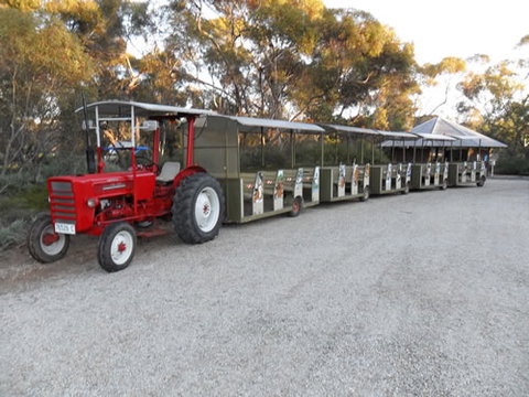 Australian Inland Botanic Gardens - Accommodation NT 4